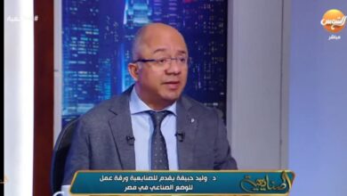 مستشار وزير الصناعة الأسبق يكشف أسباب تأخر مصر في صناعة السيارات