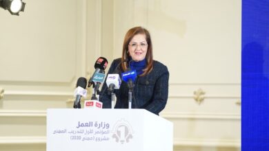هالة السعيد: 7.7 مليار جنيه لتنفيذ 525 مشروعًا في محافظة الدقهلية