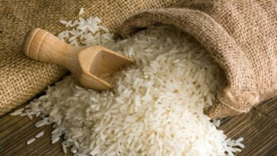 2.4 % ارتفاعًا فى سعر الأرز الكسر عالميًا خلال يناير