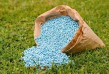 وزير الزراعة: صرف الأسمدة بكارت الفلاح فقط.. ولا وجود للسوق السوداء مرة أخرى