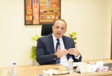 نائب وزيرة التخطيط يشارك بورشة العمل حول التنمية البشرية مصر 2025