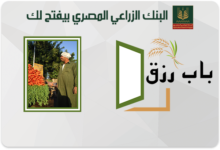 لدعم وتمويل المشروعات متناهية الصغر..  تفاصيل ومزايا “برنامج باب رزق” من البنك الزراعي المصري