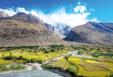 الحكومة تدفع مسار الاستثمار الأخضر داخل المحميات الطبيعية