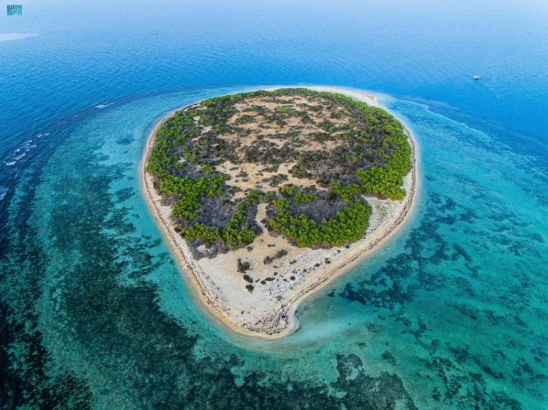 الرياض تستضيف اليوم فعاليات منتدي المحميات الطبيعية “حِمى” بمشاركة محلية ودولية واسعة