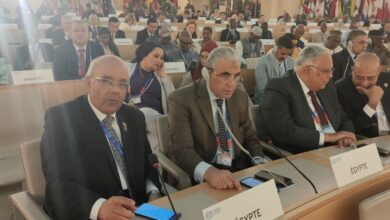 د. محمد عطية الفيومي: آن الأوان أن تصبح فلسطين عضوًا في منظمة العمل الدولية