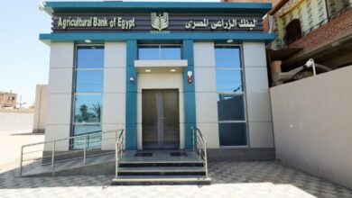 البنك الزراعي المصري يفتتح 10 فروع جديدة ويعيد افتتاح 16 فرعاً بعد تطويرها “صور”