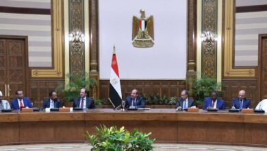 الرئيس السيسي: مصر تبذل أقصى جهدها لمواجهة تداعيات الأزمة السودانية