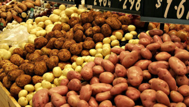 شعبة الخضراوات تطالب بإحداث عملية توازن بين تصدير البطاطس وتوافرها بالسوق المحلي