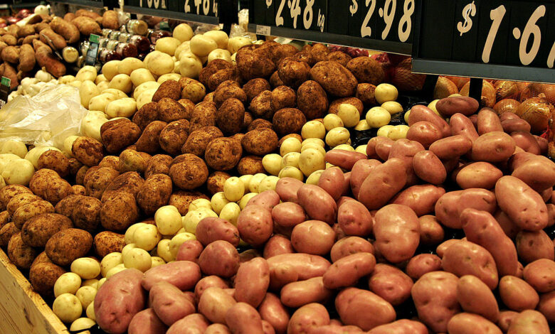 شعبة الخضراوات تطالب بإحداث عملية توازن بين تصدير البطاطس وتوافرها بالسوق المحلي