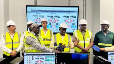 السويدي إليكتريك تدعم قطاع الطاقة في تنزانيا بإضافة 705 ميجاوات إلى الشبكة القومية للكهرباء