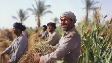 باقات وعروض متنوعة.. تعرف على منتجات بنك QNB المجانية بمناسبة الاحتفال بعيد الفلاح