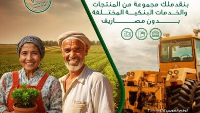 البنك الأهلي المصري يتيح 4 خدمات مجانية احتفالًا بعيد الفلاح ودعمًا للشمول المالي