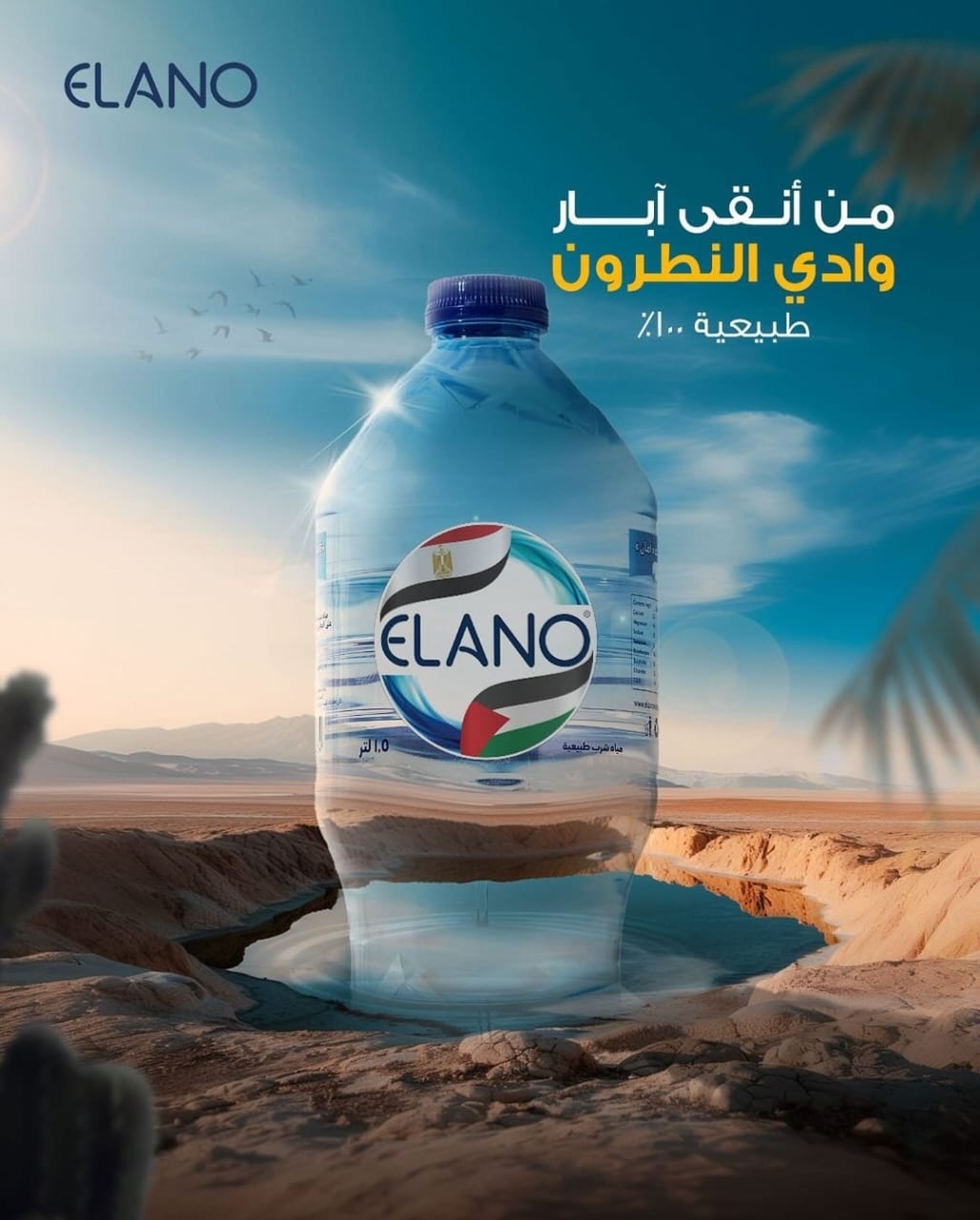 Valley Water Plans to Launch New Products in 2025 Alongside Elano Water