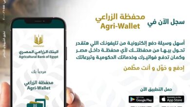 البنك الزراعي المصري يطلق محفظة Agri Wallet.. “أسرع وسيلة دفع إلكترونية”