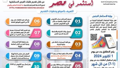 فتح باب تلقى طلبات المستثمرين من الخارج بالعملة الأجنبية من خلال “بوابة الاستثمار الأجنبى”