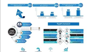 الرقابة المالية: 20.9 مليار جنيه حجم التمويلات العقارية خلال 10 أشهر