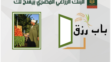 مزايا برنامج “باب رزق” من البنك الزراعي المصري بفائدة تنافسية 11.25%