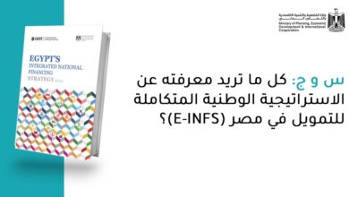 كل ما تريد معرفته عن الاستراتيجية الوطنية المتكاملة للتمويل في مصر (E-INFS)؟