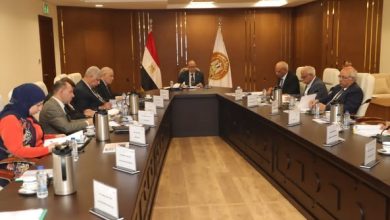 وزير العمل: 2.3 مليار جنيه إعانات طوارئ للعمال منذ تأسيس “الصندوق”