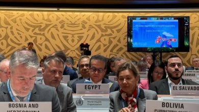 من جينيف.. وزير الصحة يدعو لدعم الأشقاء بدولتي فلسطين والسودان وتوفير الحماية الإنسانية والصحية للمدنيين