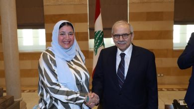 الدكتورة عبير عصام تقترح إنشاء منطقة صناعية لبنانية في مصر