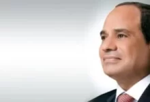 الرئيس السيسى يوجه بتنفيذ مبادرة لتنمية مهارات الشباب لتأهيلهم لسوق العمل
