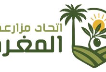 جمعية اتحاد المغرة تنظم مؤتمرها الأول لدعم زراعة الزيتون والنخيل