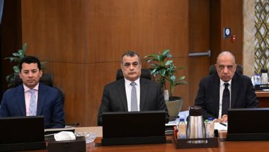 خلال اجتماع مجلس الوزراء.. وزير الكهرباء: 21 مشروعًا يستهدف توليد الطاقة المتجددة بأحدث التقنيات