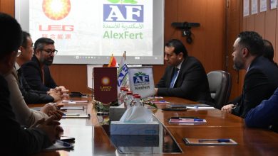 يونايتد إنرجي جروب وشركة الاسكندرية للأسمدة توقعان مذكرة تفاهم لتطوير مشروع الأمونيا الخضراء