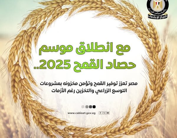 مجلس الوزراء يستعرض جهود الدولة لتعزيز الإنتاج المحلي من القمح وتأمين مخزونه مجلس الوزراء يستعرض جهود الدولة لتعزيز الإنتاج المحلي من القمح وتأمين مخزونه