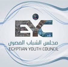 مجلس الشباب المصري: تعيين الدكتورة ياسمين فؤاد بالأمم المتحدة تتويج لمسيرة مصرية مشرّفة في قضايا البيئة