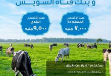 بنك قناة السويس يتيح شراء “صك الأضحية” من وزارة الأوقاف عبر محفظة ‏SCB E-Wallet أو الـ Online Banking