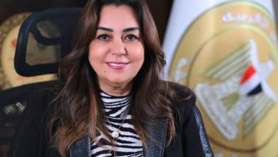 وزيرة التنمية المحلية: 32.4 مليار جنيه قروض لدعم 213 ألف مشروع من المشروعات الصغيرة والمتوسطة