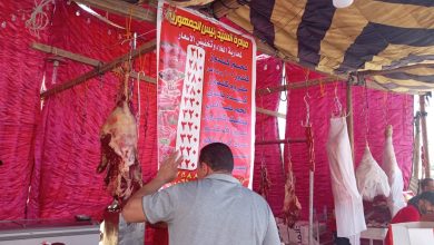 مجلس أمناء حدائق أكتوبر يطلق مبادرة لتخفيض أسعار اللحوم