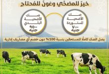 اليوم.. انطلاق حملة صكوك الأضاحي لعام 2025