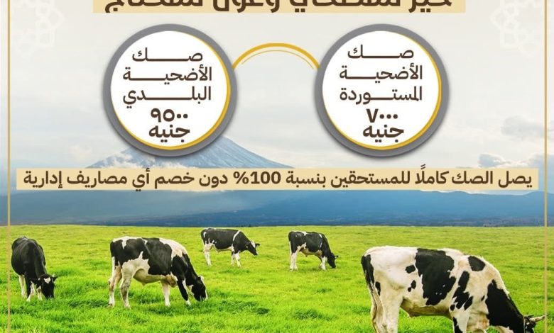 اليوم.. انطلاق حملة صكوك الأضاحي لعام 2025 اليوم.. انطلاق حملة صكوك الأضاحي لعام 2025