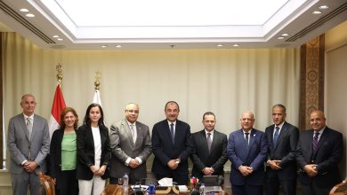 شيمي: إعادة تشغيل مصنع الأنود بالعين السخنة لتعظيم الاستفادة من الأصول الصناعية