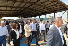 بالصور..  وزير الزراعة ومحافظ الشرقية ورئيس البنك الزراعي يتابعون أعمال توريد القمح بشونة العزيزية