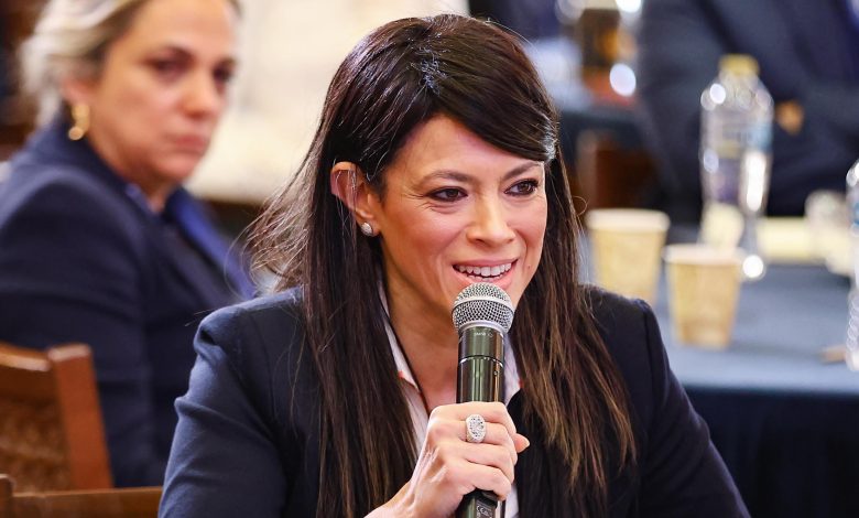 وزيرة التخطيط تُشارك في أول مؤتمر بحثي لصندوق النقد الدولي بالقاهرة وزيرة التخطيط تُشارك في أول مؤتمر بحثي لصندوق النقد الدولي بالقاهرة