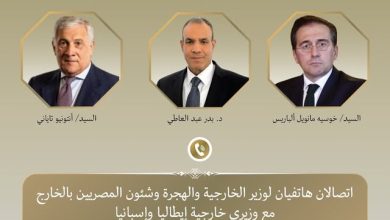 وزير الخارجية يتلقى اتصالين هاتفيين من وزيرى خارجية إيطاليا وأسبانيا