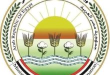 الزراعة: المجازر الحكومية استقبلت أكثر من 34 ألف أضحية في العيد بجميع المحافظات