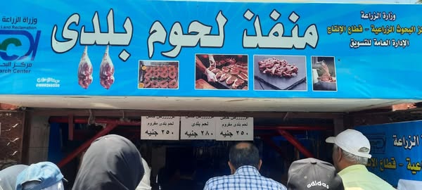 الزراعة تطرح كميات كبيرة من اللحوم البلدية بسعر 270 جنيهًا للكيلو الزراعة تطرح كميات كبيرة من اللحوم البلدية بسعر 270 جنيهًا للكيلو