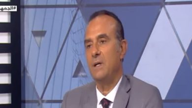 الدكتور وفيق نصير يُمثّل مصر في مؤتمر دولي بالهند حول التلوث وصحة الإنسان