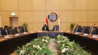 بقيمة 300 مليون جنيه.. بروتوكول تعاون بين وزارة النقل وسلطة الملاحة النهرية السودانية لتطوير ميناء وادي حلفا