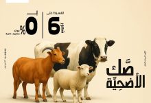 بنك مصر يتيح تقسيط صك الأضحية على 6 شهور بدون فوائد بمناسبة عيد الأضحى