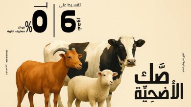 بنك مصر يتيح تقسيط صك الأضحية على 6 شهور بدون فوائد بمناسبة عيد الأضحى