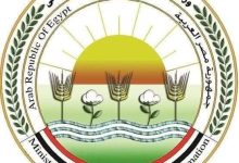 أبرزها حديقة حيوان إسكندرية.. “الزراعة” تستقبل أكثر من 103 آلاف زائر بحدائقها خلال أيام عيد الأضحى
