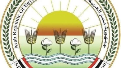 أبرزها حديقة حيوان إسكندرية.. “الزراعة” تستقبل أكثر من 103 آلاف زائر بحدائقها خلال أيام عيد الأضحى