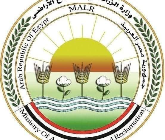 أبرزها حديقة حيوان إسكندرية.. “الزراعة” تستقبل أكثر من 103 آلاف زائر بحدائقها خلال أيام عيد الأضحى أبرزها حديقة حيوان إسكندرية.. “الزراعة” تستقبل أكثر من 103 آلاف زائر بحدائقها خلال أيام عيد الأضحى