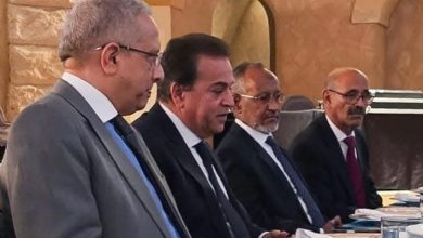 وزير الصحة : مصر حريصة على ترسيخ شراكات أفريقية مستدامة في المجال الصحي وبناء أنظمة متكاملة تخدم القارة